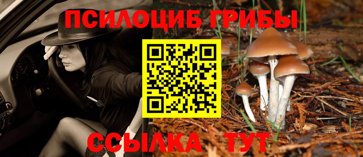наркота  Галлюциногенные грибы MAGIC MUSHROOMS  Вход с VPN  Минусинск 